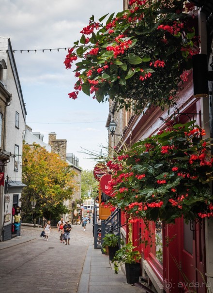 КВЕБЕК - ЕЩЕ РАЗНОЕ (продолжение)