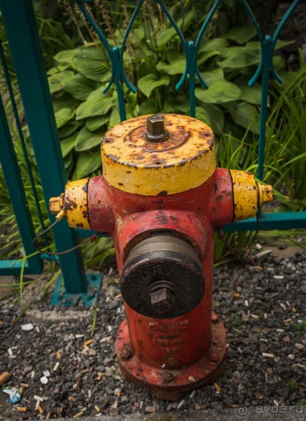 КВЕБЕК - ЕЩЕ РАЗНОЕ (продолжение)