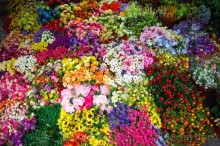 РЫНОК В ХАНОЕ