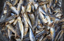 РЫНОК В ХАНОЕ