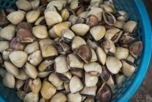 РЫНОК В ХАНОЕ