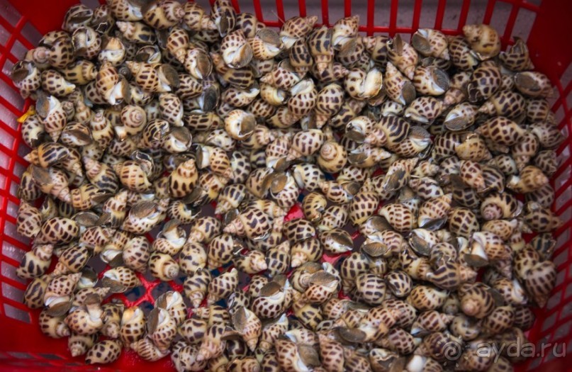 РЫНОК В ХАНОЕ