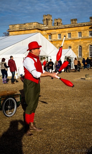 CRAFTS FAIR - ЯРМАРКА МАСТЕРОВ В BLENHEIM PALACE - 9 ФОТОГРАФИЙ