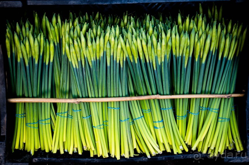 ЙОРК В СЕРЕДИНЕ ЯНВАРЯ