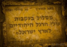 Альбом отзыва "ВЕЧЕР В ЯФФО"