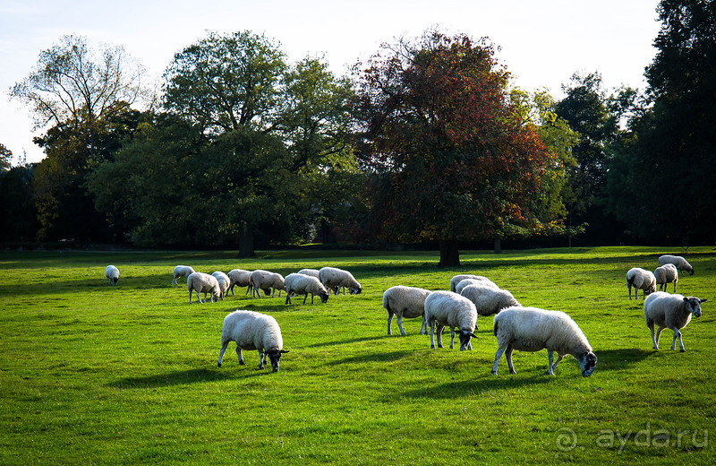 KEDLESTON HALL