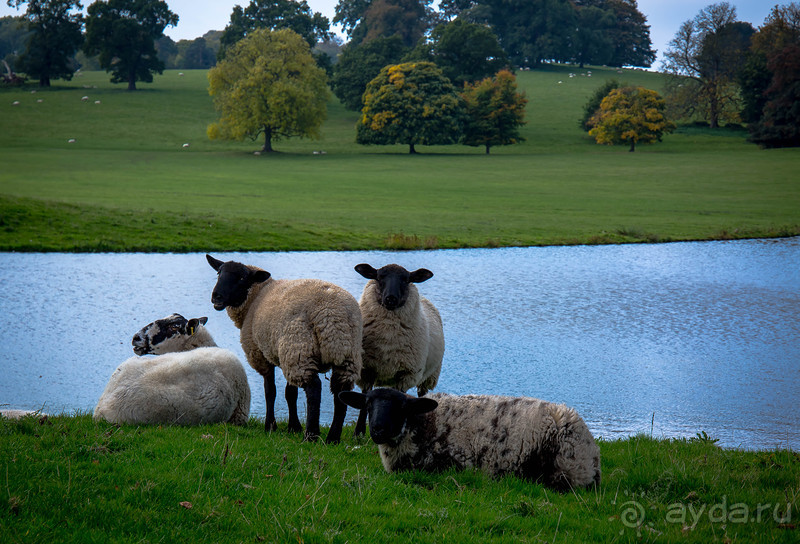 KEDLESTON HALL