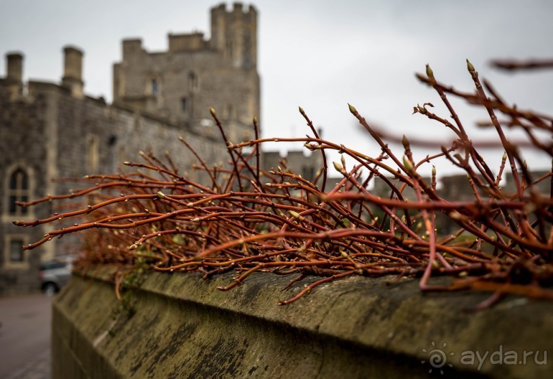 ВИНДЗОР В СЕРЕДИНЕ ДЕКАБРЯ