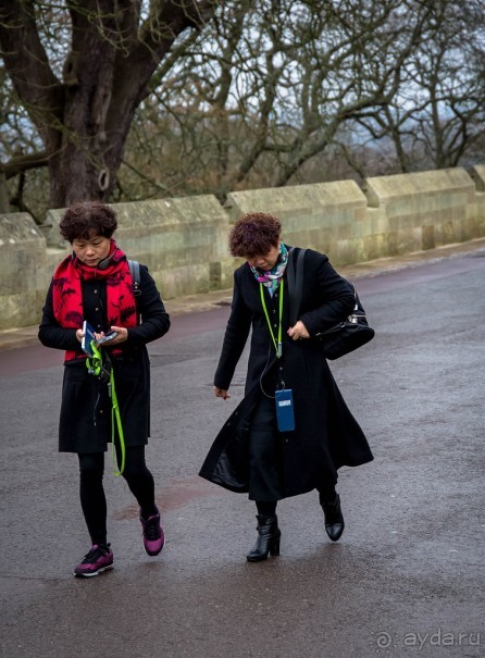 ВИНДЗОР В СЕРЕДИНЕ ДЕКАБРЯ