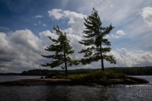 ОЗЕРО BOSHKUNG - ЗАКАТ И ПРЕДМЕТЫ. БУРУНДУЧОК. ЛЯГУШКИ И СТРЕКОЗА