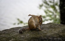 ОЗЕРО BOSHKUNG - ЗАКАТ И ПРЕДМЕТЫ. БУРУНДУЧОК. ЛЯГУШКИ И СТРЕКОЗА