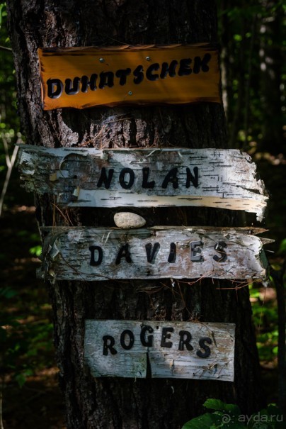 ОЗЕРО BOSHKUNG - ЗАКАТ И ПРЕДМЕТЫ. БУРУНДУЧОК. ЛЯГУШКИ И СТРЕКОЗА