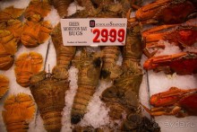 Альбом отзыва "РЫБНЫЙ РЫНОК В СИДНЕЕ"