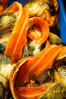 РЫБНЫЙ РЫНОК В СИДНЕЕ