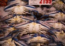 Альбом отзыва "РЫБНЫЙ РЫНОК В СИДНЕЕ"