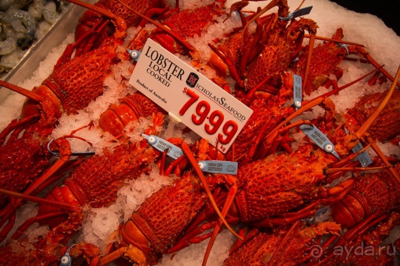 Альбом отзыва "РЫБНЫЙ РЫНОК В СИДНЕЕ"