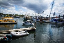 РЫБНЫЙ РЫНОК В СИДНЕЕ