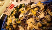 РЫБНЫЙ РЫНОК В СИДНЕЕ