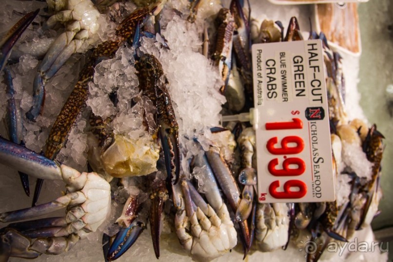 Альбом отзыва "РЫБНЫЙ РЫНОК В СИДНЕЕ"