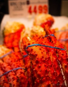 Альбом отзыва "РЫБНЫЙ РЫНОК В СИДНЕЕ"