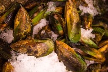 Альбом отзыва "РЫБНЫЙ РЫНОК В СИДНЕЕ"