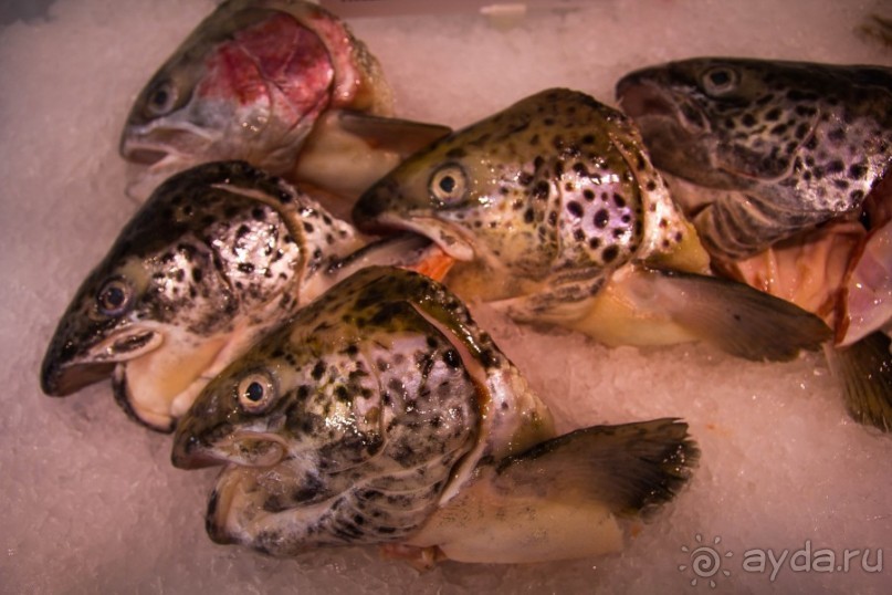 Альбом отзыва "РЫБНЫЙ РЫНОК В СИДНЕЕ"