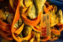 РЫБНЫЙ РЫНОК В СИДНЕЕ