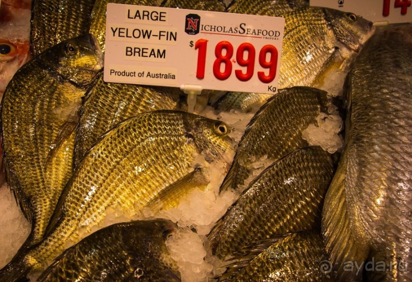 Альбом отзыва "РЫБНЫЙ РЫНОК В СИДНЕЕ"