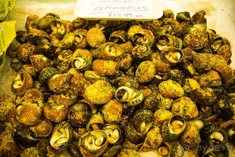 РЫБНЫЙ РЫНОК В СИДНЕЕ