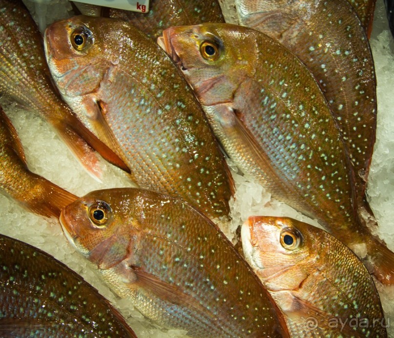 РЫБНЫЙ РЫНОК В СИДНЕЕ