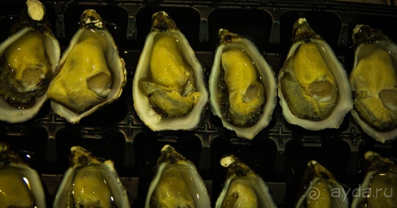 РЫБНЫЙ РЫНОК В СИДНЕЕ