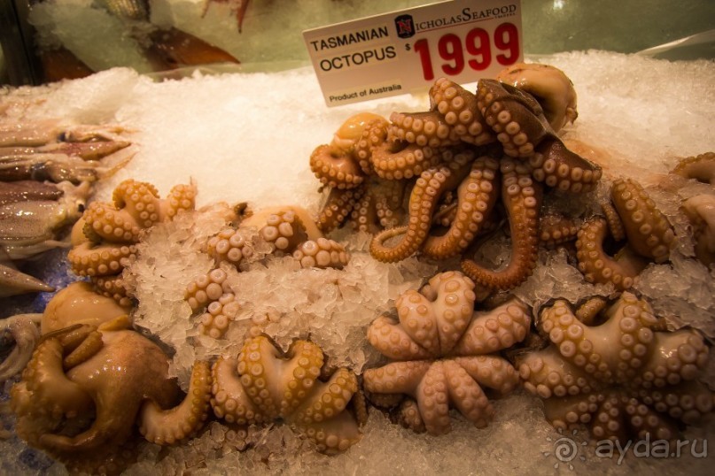 РЫБНЫЙ РЫНОК В СИДНЕЕ