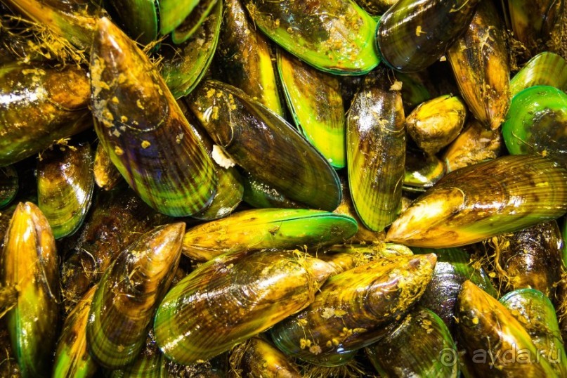 РЫБНЫЙ РЫНОК В СИДНЕЕ