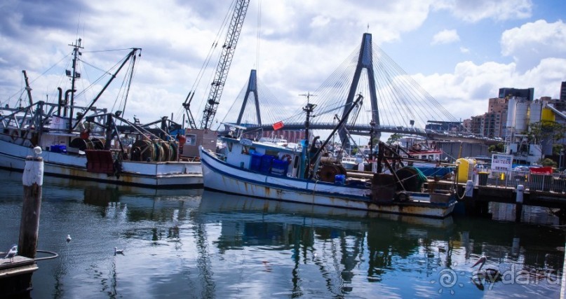 РЫБНЫЙ РЫНОК В СИДНЕЕ