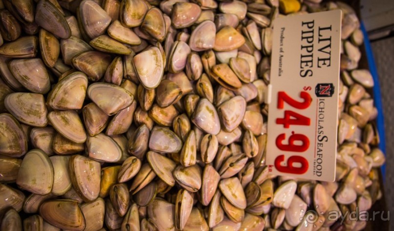 РЫБНЫЙ РЫНОК В СИДНЕЕ