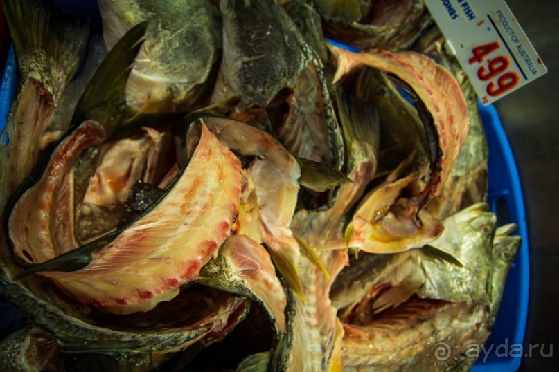 РЫБНЫЙ РЫНОК В СИДНЕЕ