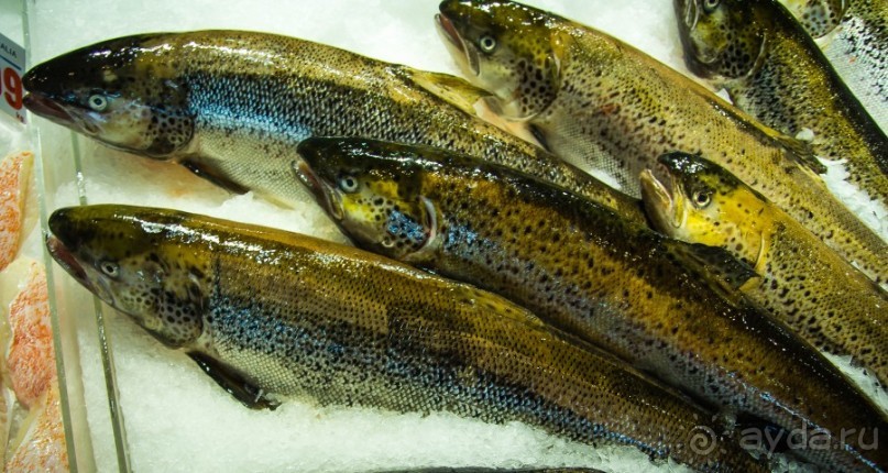 РЫБНЫЙ РЫНОК В СИДНЕЕ