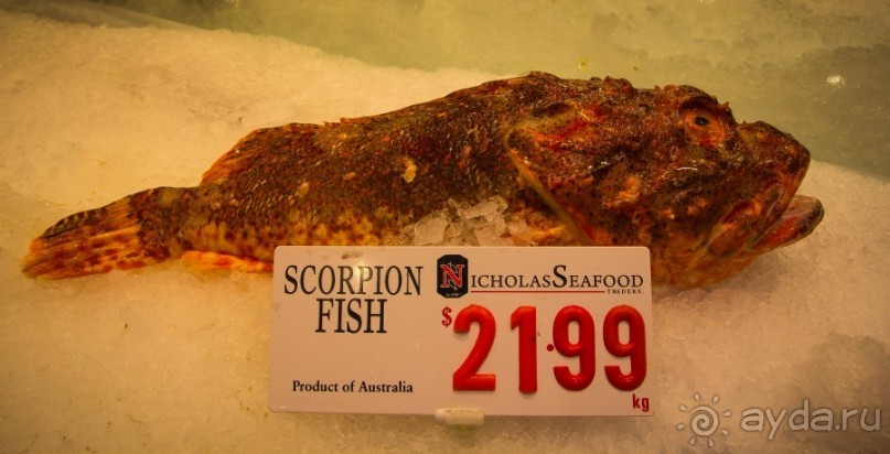 РЫБНЫЙ РЫНОК В СИДНЕЕ