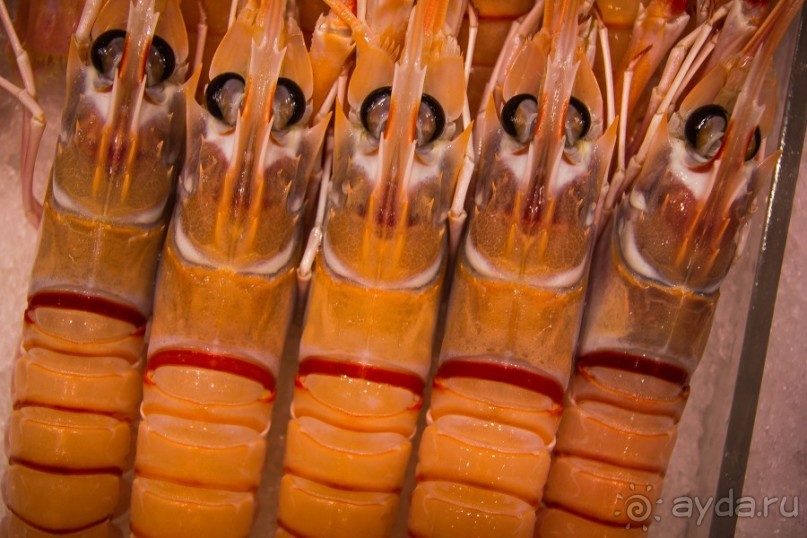 РЫБНЫЙ РЫНОК В СИДНЕЕ