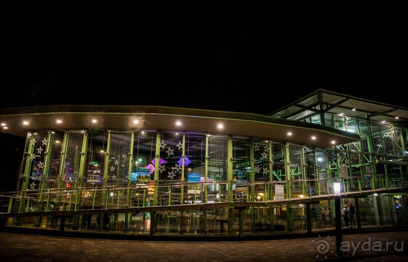 ВЕЧЕРНИЕ УЛИЦЫ НА МАДЕЙРЕ В НОЯБРЕ