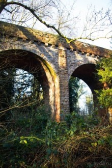 GRACE DIEAU PRIORY В ЯНВАРЕ