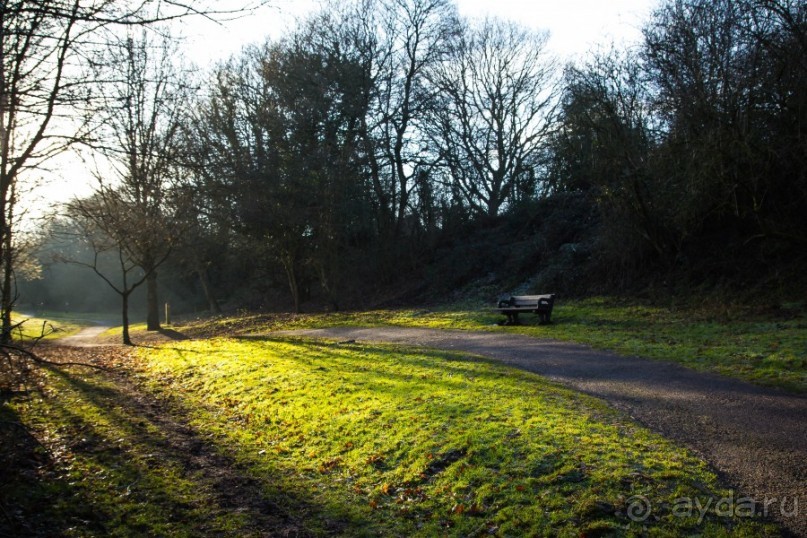 GRACE DIEAU PRIORY В ЯНВАРЕ