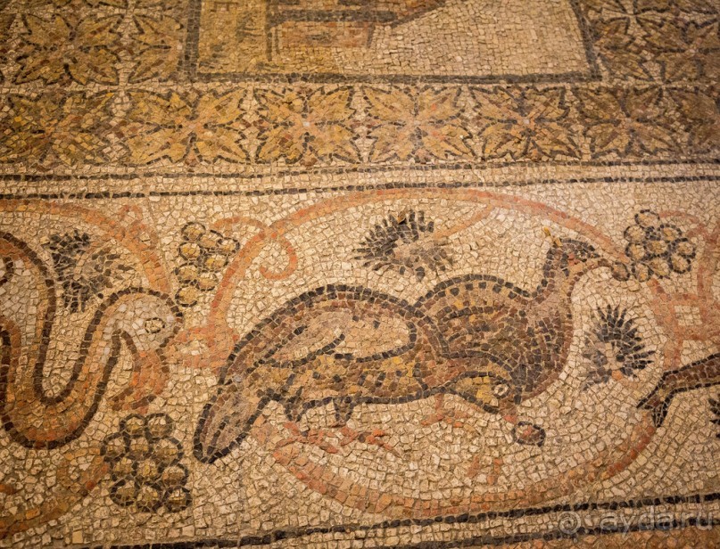 ИЕРУСАЛИМ ПОД ДОЖДЕМ В НАЧАЛЕ ДЕКАБРЯ