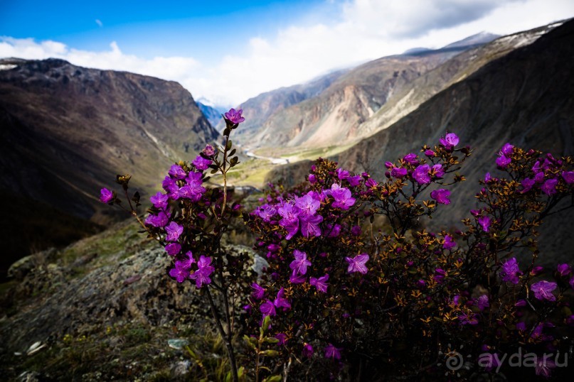 УЛАГАНСКОЕ НАГОРЬЕ В НАЧАЛЕ МАЯ 2016