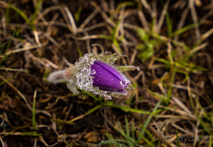 УЛАГАНСКОЕ НАГОРЬЕ В НАЧАЛЕ МАЯ 2016