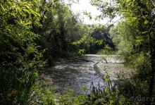 ЛЕСТЕР (LEICESTER). НА КАНАЛЕ И ОКОЛО