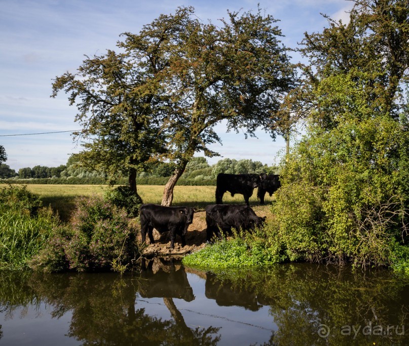 фото Лестера