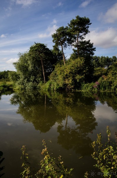 фото Лестера