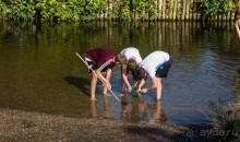 ЛЕСТЕР (LEICESTER). НА КАНАЛЕ И ОКОЛО