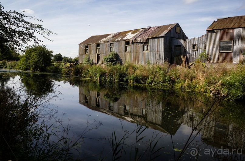 фото Лестера